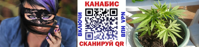 A PVP Велиж