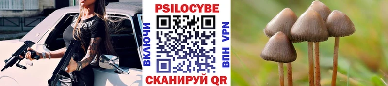 Купить закладки  Велиж  Псилоцибиновые грибы Psilocybine cubensis 